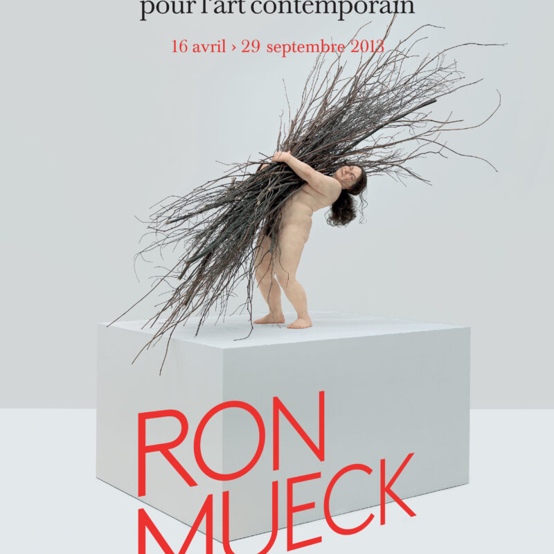 Ron Mueck, The Exhibition Album by Ron Mueck - Fondation Ron Mueck, The Exhibition Album by Ron Mueck - Fondation
